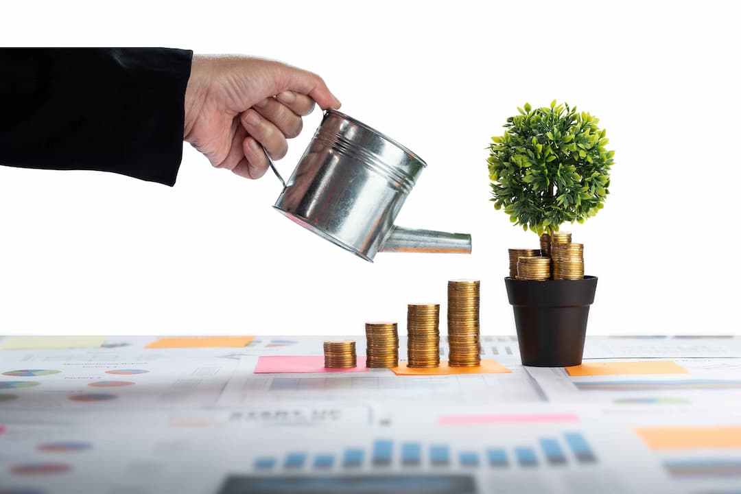 Corporate Fixed Deposits